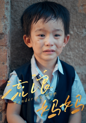 流浪妈妈（30集）360网盘观看