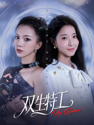 双生特工（79集）评价怎么样