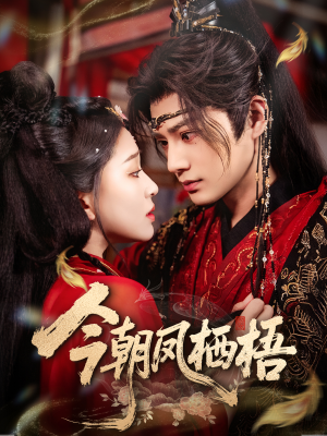 今朝凤栖梧（68集）精彩短剧免费看