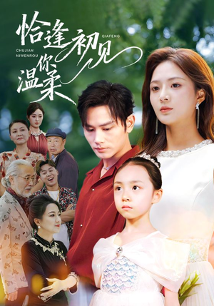 恰逢初见你温柔（86集）怎么看全集