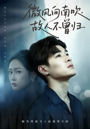 微风向南吹，故人不曾归（72集）演的怎么样