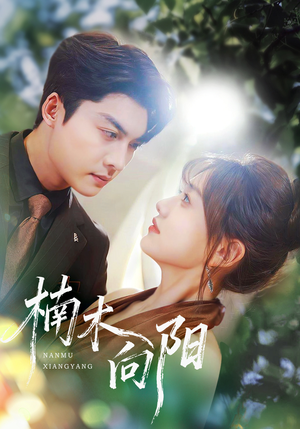 楠木向阳（70集）好看到停不下来