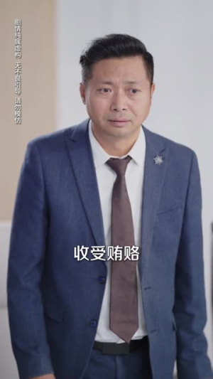 正义的裁决(84集) 正义的裁决(84集)最后的大结局