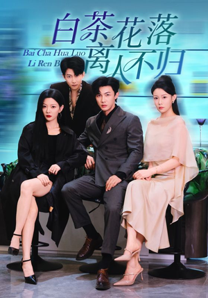 白茶花落离人（51集）在线免费观看