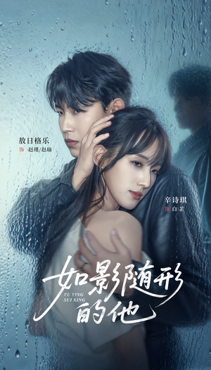如影随形的他（30集）热门短剧追不停