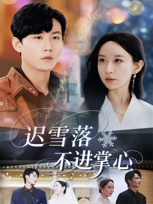 迟雪落不进掌心（79集）高清画质免费看
