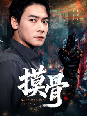 摸骨（74集）直接追到结尾