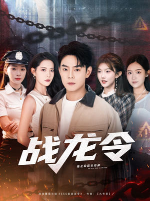 战龙令（76集）热播古装短剧