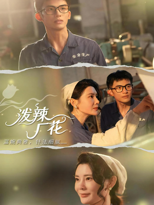 泼辣厂花（68集）好看的短剧分享