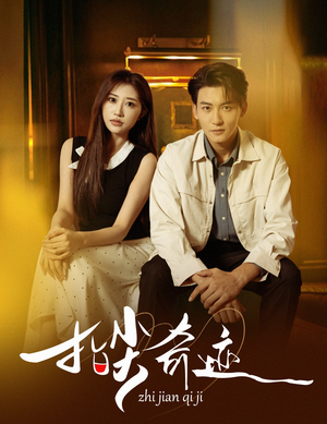 指尖奇迹（64集）全网独播免费看