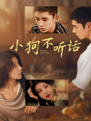 小狗不听话（70集）精彩短剧推荐
