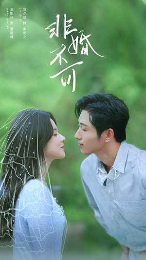 非婚不可（65集）一起追生活短剧