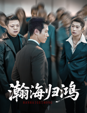 瀚海归鸿(74集) 瀚海归鸿(74集)精彩短剧分享