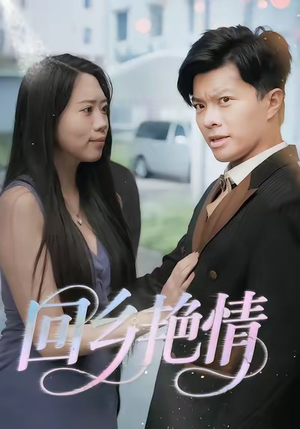 回乡艳情（35集）演的怎么样