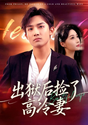 出狱后捡了高冷妻(71集) 出狱后捡了高冷妻(71集)短剧在线更新