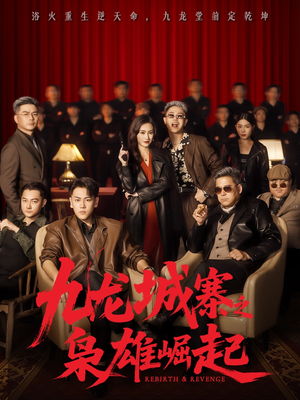 九龙局中局(71集) 九龙局中局(71集)免费看全集