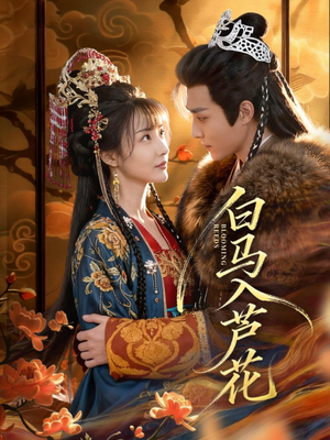 白马入芦花(59集) 白马入芦花(59集)解说文案