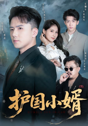 护国小婿（60集）最火爆短剧