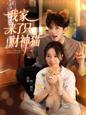 我家来了只财神猫（80集）短剧热门合集