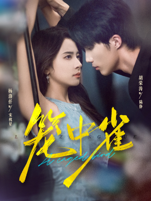 笼中雀(65集) 笼中雀(65集)女主谁演的