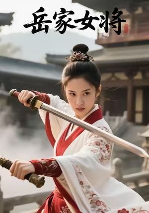 岳家女将（20集）古代短剧推荐
