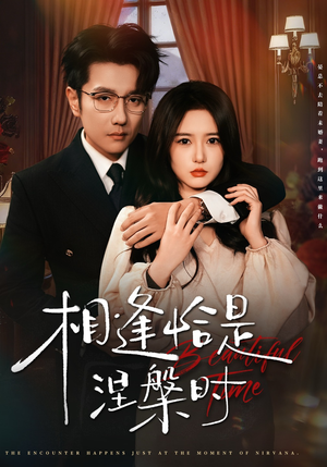 相逢恰是涅槃时（63集）短剧
