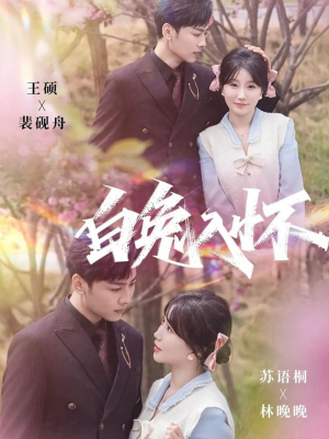 白兔入怀（60集）爆火短剧追不停