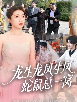 龙生龙凤生凤，蛇鼠总一窝（60集）短剧精彩绝伦