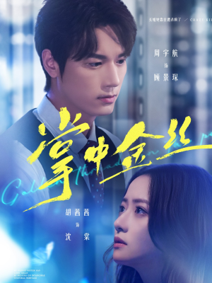 长姐她竟是隐藏大佬(60集) 长姐她竟是隐藏大佬(60集)我全都看完了