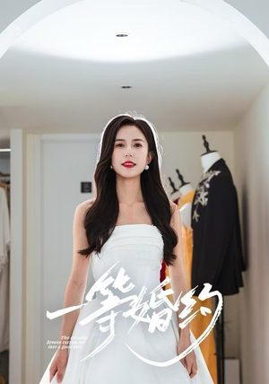 一等婚约(37集) 一等婚约(37集)短剧在线看