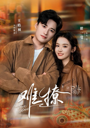 难撩（100集）古代短剧推荐