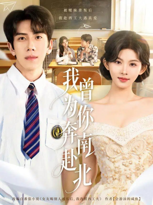 我曾为你奔南赴北（60集）大结局一气呵成