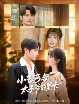 小乞丐与太子爷的黑卡（60集）在线观看完整版