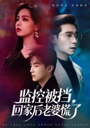 监控被挡，回家后老婆慌了（60集）红果免费短剧