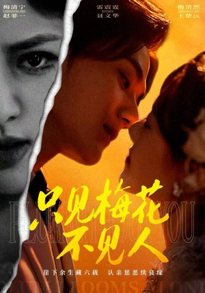 只见梅花不见人（63集）精彩的短剧