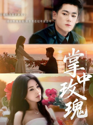 掌中玫瑰（60集）热门短剧追到爽