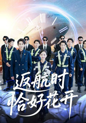 返航时恰好花开（101集） 全集我都看完了