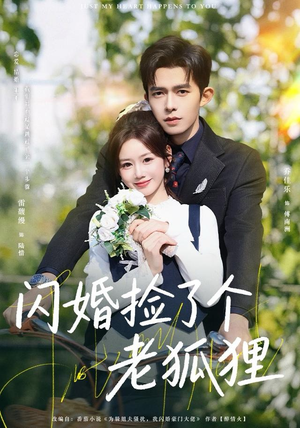 闪婚捡了个老狐狸（79集）观看软件