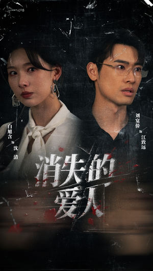 消失的爱人（56集）全集一网打尽