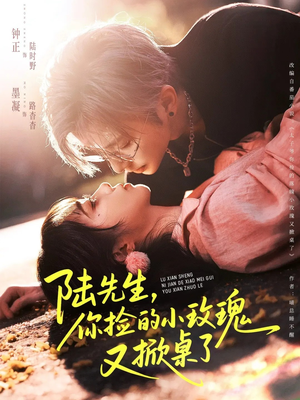 陆先生，你捡的小玫瑰又掀桌了（74集）在哪看是免费的