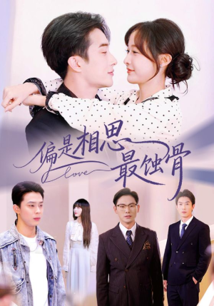 烬爱无归处（70集）短剧越看越精彩