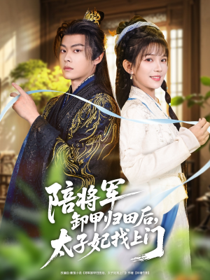 陪将军卸甲归田后，太子妃找上门（60集）常回家看看短剧