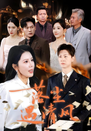 离婚而已（74集）剧好看短剧推荐