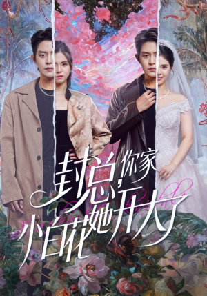 封总，你家小白花她开大了（60集）上热门短剧