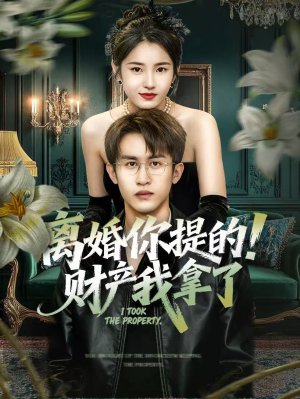 离婚你提的！财产我拿了（63集）精彩好看短剧