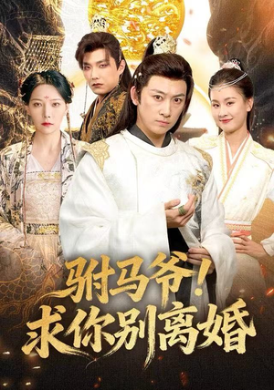 驸马爷！求你别离婚（80集） 短剧解说热门
