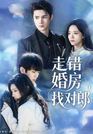走错婚房找对郎（50集） 无需会员轻松看
