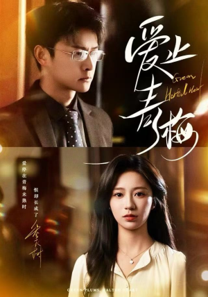 爱止青梅（60集） 1-102集