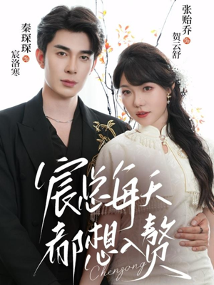 宸总每天都想入赘（65集）全集完整版