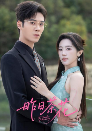 昨日茶花（56集）短剧在线更新